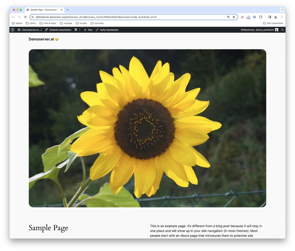 WordPress Template mit breitem Bild