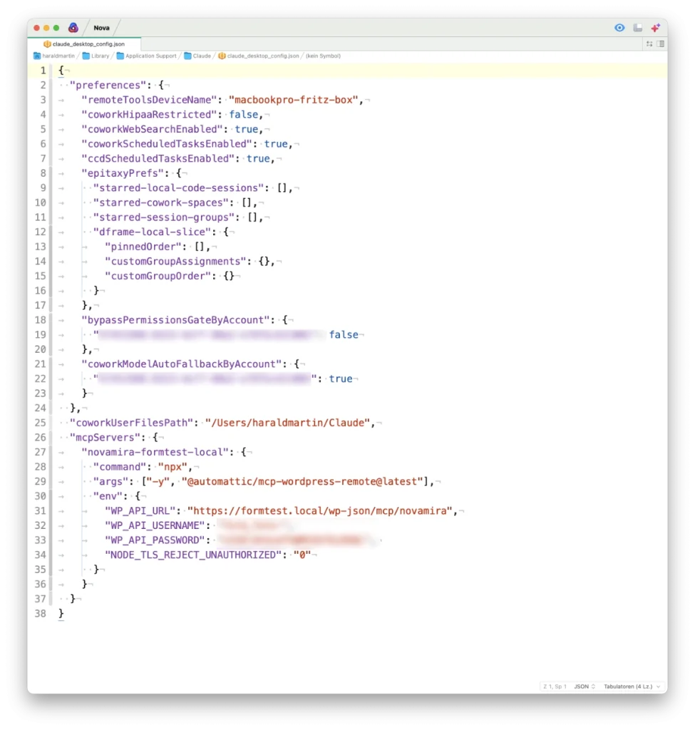 Claude JSON